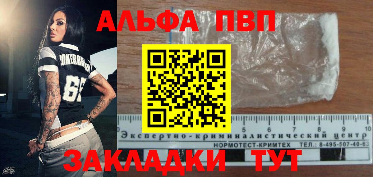 Alfa_PVP СК Вышний Волочёк
