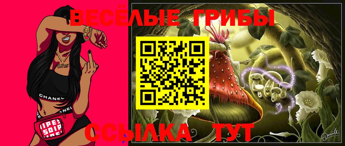 Галлюциногенные грибы мухоморы Вышний Волочёк