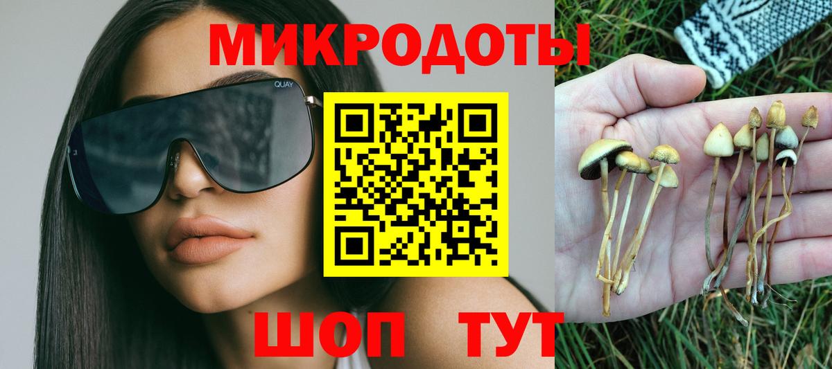 Вышний Волочёк  Псилоцибиновые грибы Psilocybine cubensis  Вход с VPN  Галлюциногенные грибы ЛСД 